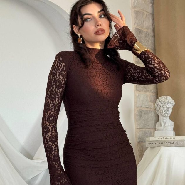 Stairry dentelle brown dress