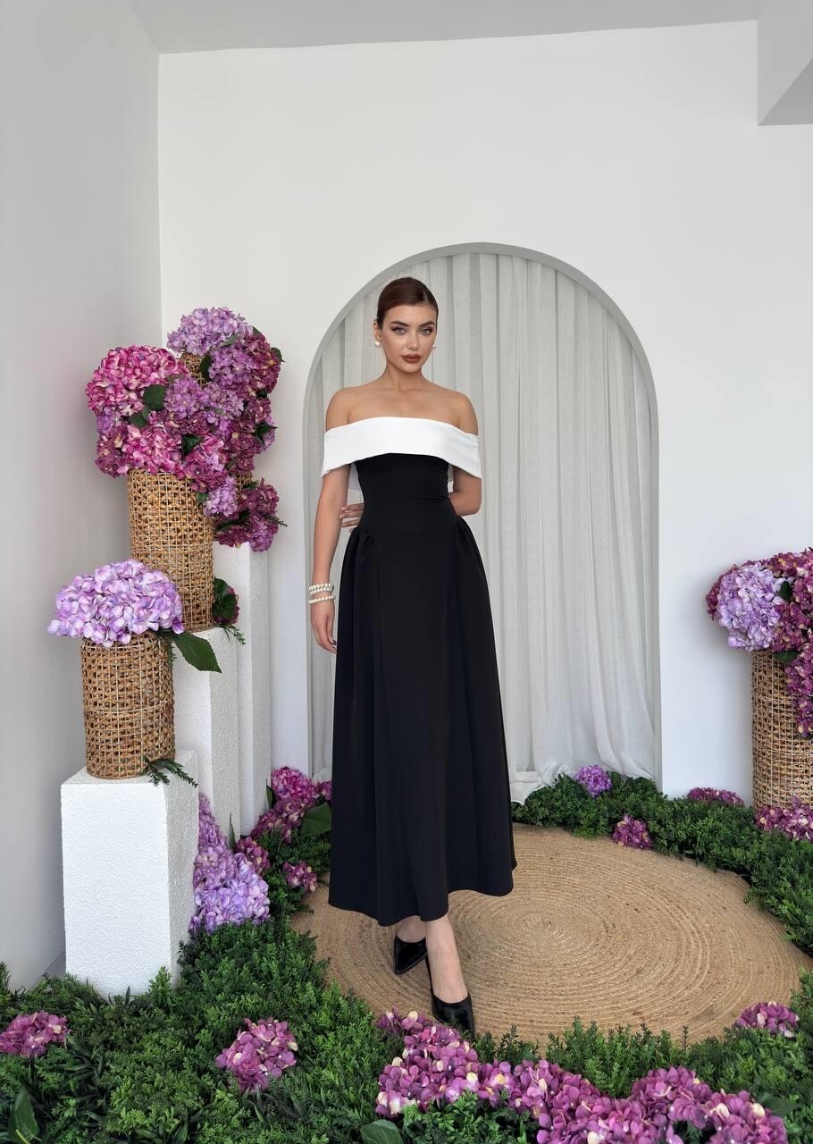 Aurore black and white dress